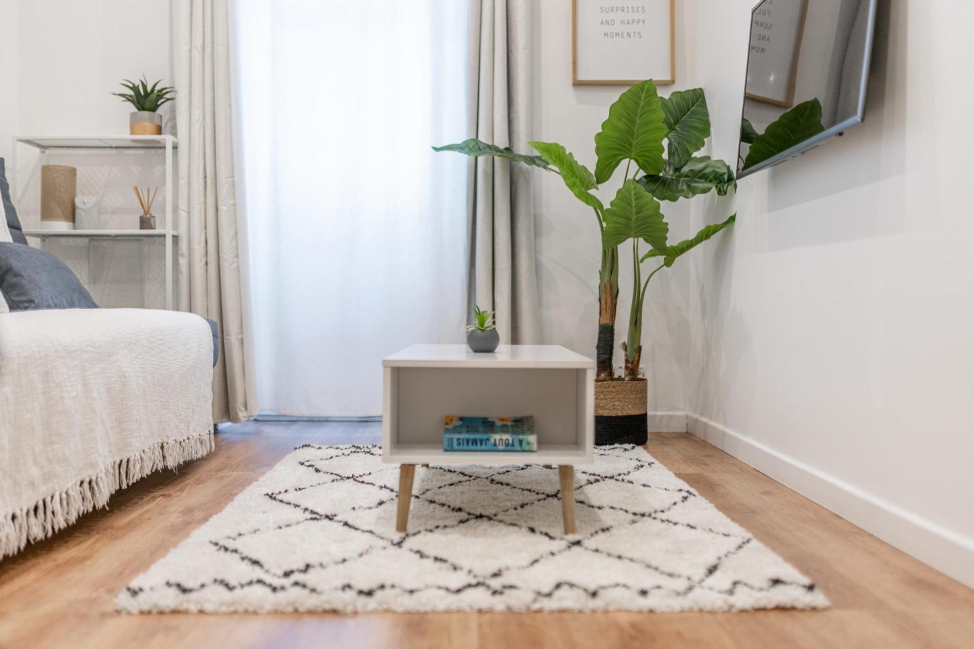 Appartement Pertinax Cosy 2 Pieces Au Coeur Du Centre De Ac *